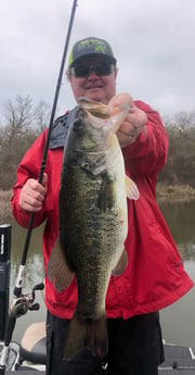 Largemouth Bass Fishing in Lake Fork, Texas
