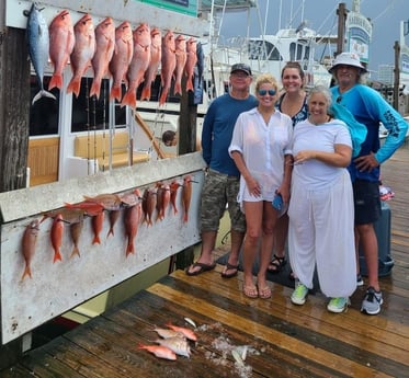 False Albacore, Red Snapper, Scup Fishing in Destin, Florida