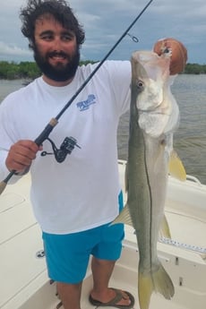 Snook fishing in Tavernier, Florida