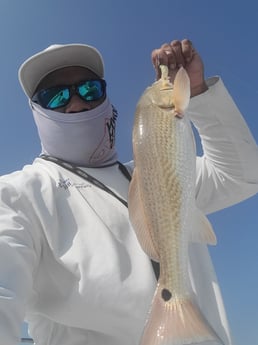 Redfish Fishing in Galveston, Texas