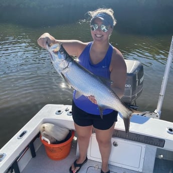 Tarpon fishing in Tampa, Florida