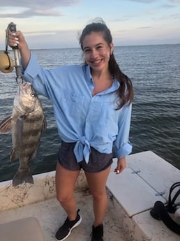 Black Drum fishing in Matagorda, Texas