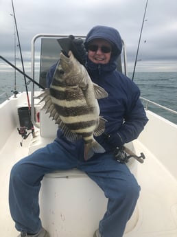 Sheepshead fishing in Orange Beach, Alabama