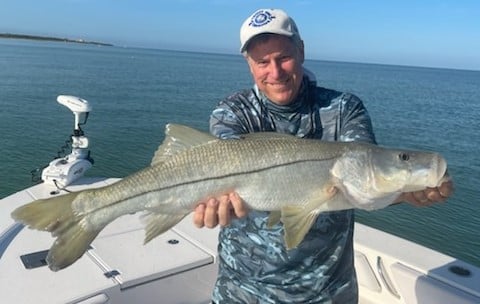 Snook fishing in Clearwater, Florida