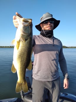 Largemouth Bass fishing in Austin, Texas