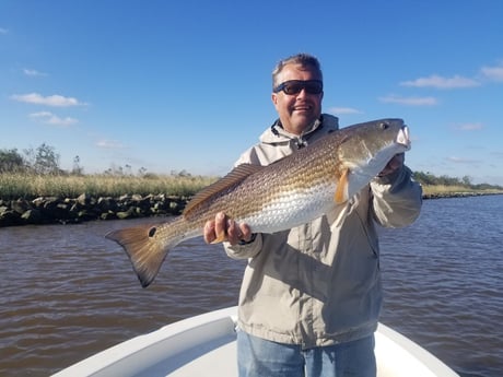 Redfish fishing in Sulphur, Louisiana