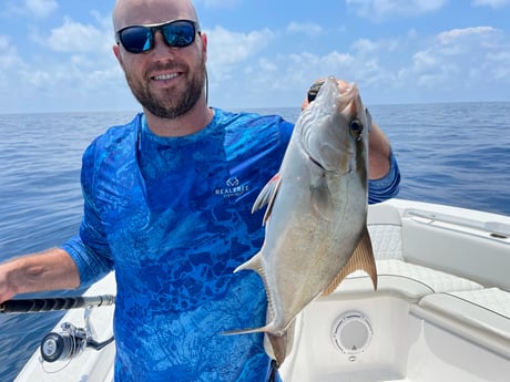 Amberjack fishing in St. Augustine, Florida