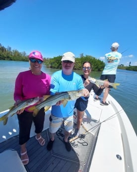 Snook fishing in Sarasota, Florida