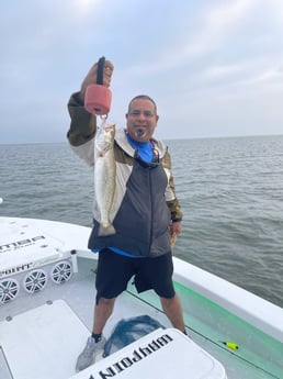 Speckled Trout / Spotted Seatrout fishing in Corpus Christi, Texas