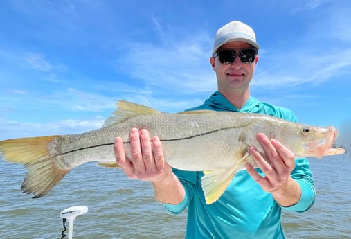 Snook fishing in Port Orange, Florida