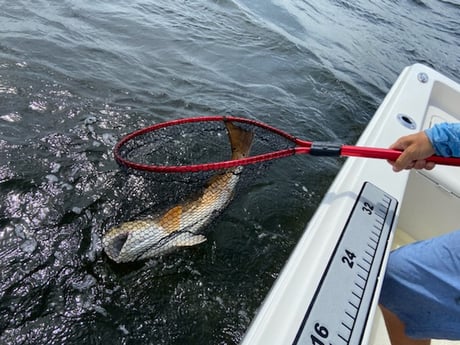 Redfish fishing in Destin, Florida