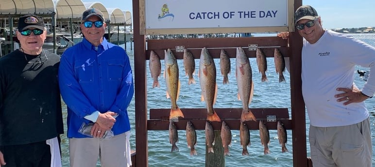 Mangrove Snapper, Redfish Fishing in Destin, Florida