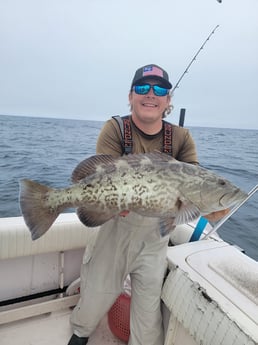 Gag Grouper fishing in Clearwater, Florida