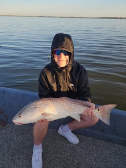 Redfish Fishing in Galveston, Texas