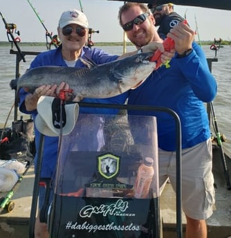 Blue Catfish fishing in Dallas, Texas