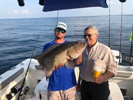 Gag Grouper fishing in Pensacola, Florida