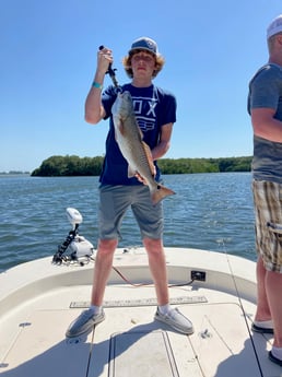 Sheepshead fishing in St. Petersburg, Florida