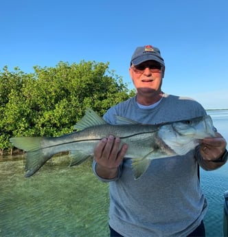 Snook Fishing in Key Largo, Florida