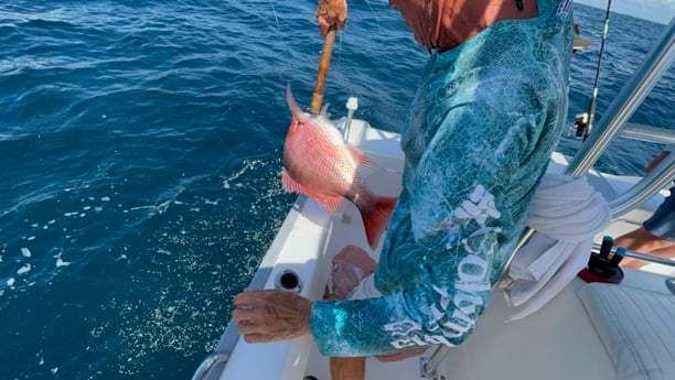 Red Snapper fishing in Destin, Florida