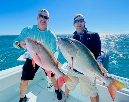 Mutton Snapper fishing in Key Largo, Florida