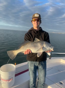 Black Drum fishing in Corpus Christi, Texas