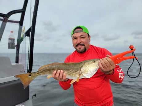 Redfish Fishing in South Padre Island, Texas