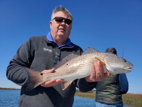 Redfish fishing in Mount Pleasant, South Carolina