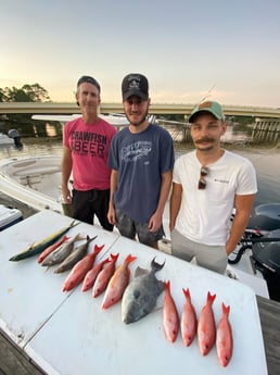 Mahi Mahi / Dorado, Red Snapper, Triggerfish fishing in Pensacola, Florida