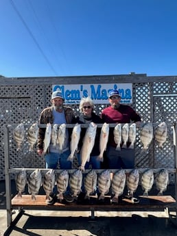 Black Drum, Redfish, Sheepshead, Speckled Trout Fishing in Corpus Christi, Texas