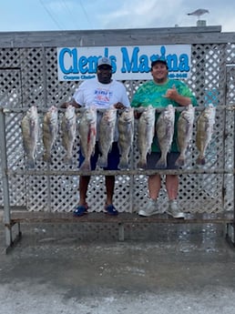 Black Drum fishing in Corpus Christi, Texas