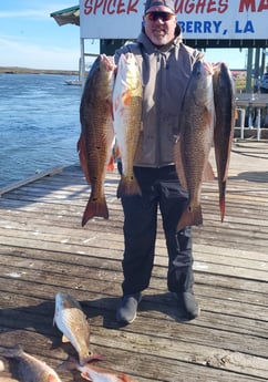 Redfish Fishing in Sulphur, Louisiana