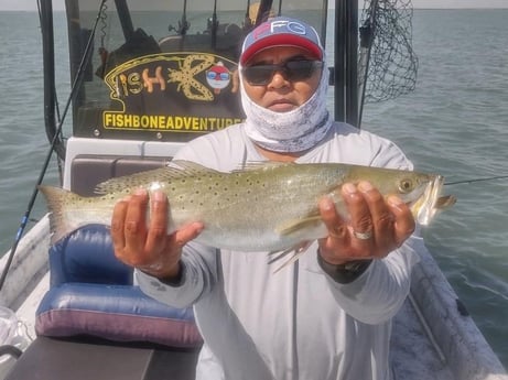 Speckled Trout / Spotted Seatrout fishing in South Padre Island, Texas