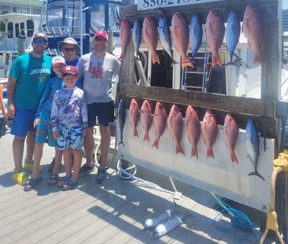 King Mackerel / Kingfish, Little Tunny / False Albacore, Red Snapper fishing in Destin, Florida