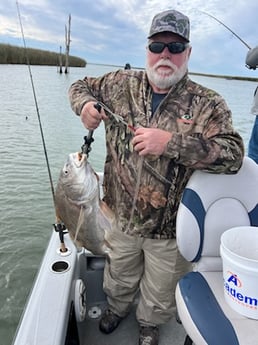 Redfish Fishing in Boothville-Venice, Louisiana