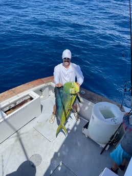 Mahi Mahi / Dorado fishing in Port Orange, Florida