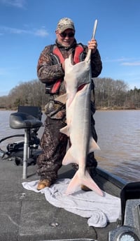 Fishing in Oxford, Mississippi