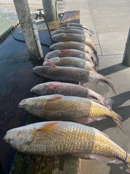 Redfish Fishing in Rockport, Texas