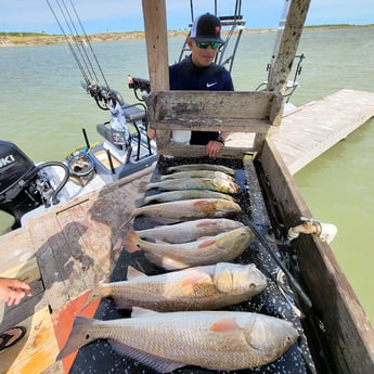 Redfish, Speckled Trout / Spotted Seatrout Fishing in Rio Hondo, Texas