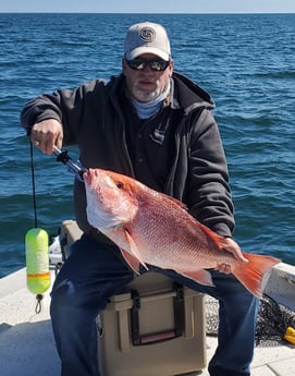 Red Snapper fishing in Freeport, Texas