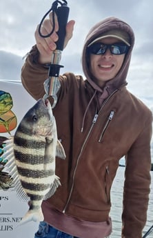 Sheepshead fishing in St. Petersburg, Florida