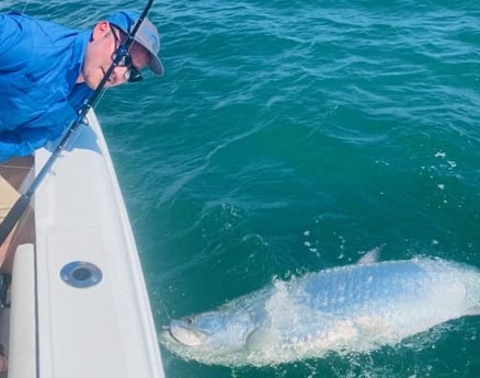 Tarpon Fishing in Tampa, Florida