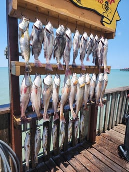 Fishing in Port Isabel, Texas