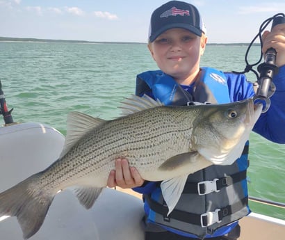 Hybrid Striped Bass Fishing in Runaway Bay, Texas