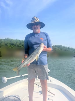 Fishing in Seminole, Florida