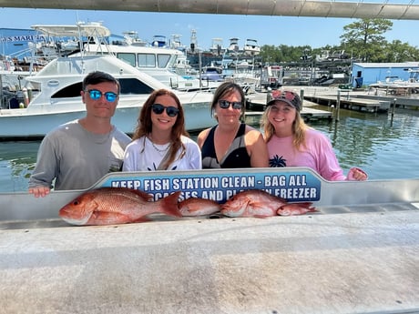 Red Snapper Fishing in Destin, Florida