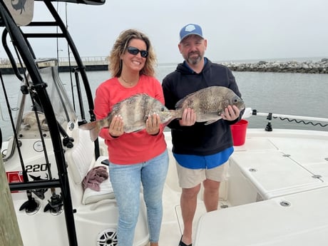 Sheepshead Fishing in Gulf Shores, Alabama