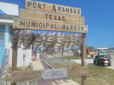 Fishing in Port Aransas, Texas
