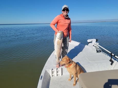 Redfish fishing in Port O&#039;Connor, Texas