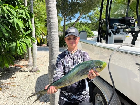 Mahi Mahi Fishing in Key Largo, Florida