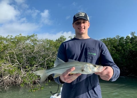 Snook fishing in Key Largo, Florida